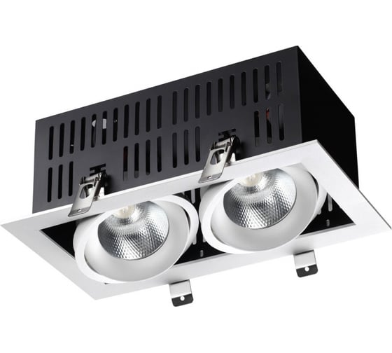 Встраиваемый светильник NOVOTECH карданный LED 2*24W GESSO 358441 1