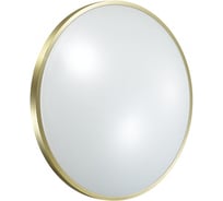 Настенно-потолочный светильник SONEX пластик, LED, 48W, LOTA BRONZE 2089/DL