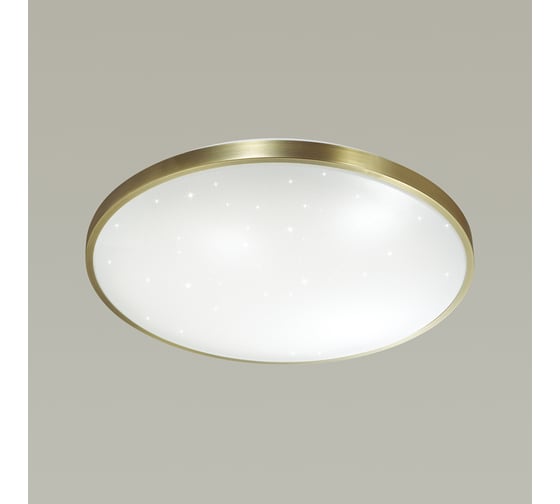 Настенно-потолочный светильник SONEX пластик, LED, 48W, LOTA BRONZE 2089/DL
