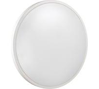 Настенно-потолочный светильник SONEX пластик, LED, 48W, SMALLI 3014/DL