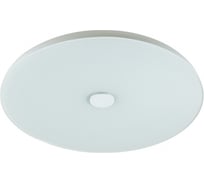 Потолочный светильник SONEX пластик, LED, 36W, ROKI muzcolor 4629/CL