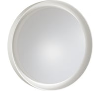 Настенно-потолочный светильник SONEX пластик, LED, 48W, BIONIC 3030/DL