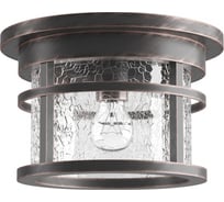 Уличный потолочный светильник ODEON LIGHT, стекло E27 60W VIRTA 4044/1C