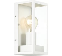 Уличный настенный светильник ODEON LIGHT, IP44 стекло E27 1х60W ARGOS 4166/1W