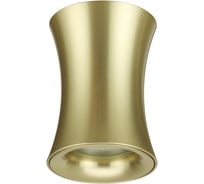 Потолочный накладной светильник ODEON LIGHT, металл GU10 50W Zetta 4226/1C