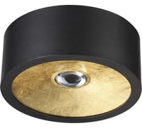 Потолочный светильник ODEON LIGHT, металл GU10 50W GLASGOW 3875/1CL