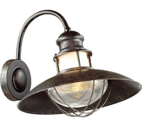 Уличный настенный светильник ODEON LIGHT, IP44 стекло E27 1х60W DANTE 4164/1W