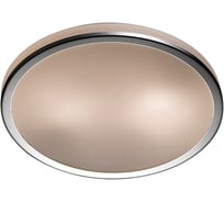 Настенно-потолочный светильник ODEON LIGHT, стекло E27 2х60W YUN 2177/2C