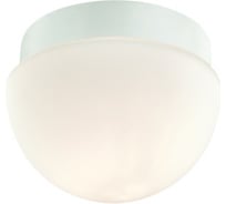 Потолочный светильник ODEON LIGHT, стекло G9 40W MINKAR 2443/1B
