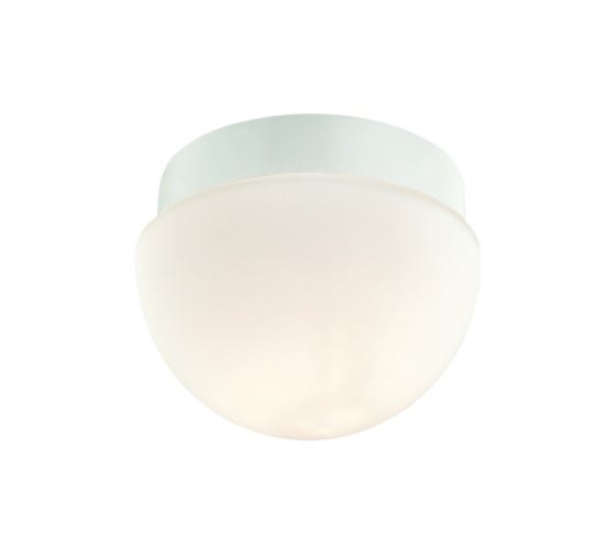 Потолочный светильник ODEON LIGHT, стекло G9 40W MINKAR 2443/1B