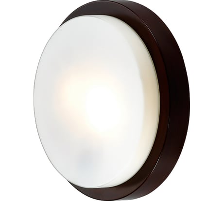 Настенно-потолочный светильник ODEON LIGHT, стекло E14 2х40W HOLGER 2744/2C