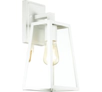 Уличный настенный светильник ODEON LIGHT, IP43 стекло E27 1х60W CLOD 4170/1W