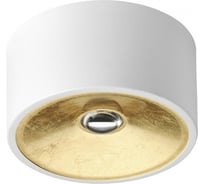 Потолочный светильник ODEON LIGHT, металл GU10 50W GLASGOW 3892/1C