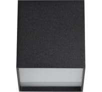 Потолочный накладной светильник ODEON LIGHT, металл LED 10W Roxy 4233/10CL