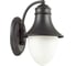 Уличный настенный светильник ODEON LIGHT, стекло E27 60W HOUSE 4041/1W 1
