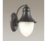 Уличный настенный светильник ODEON LIGHT, стекло E27 60W HOUSE 4041/1W 3
