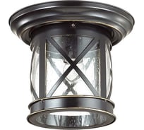 Уличный потолочный светильник ODEON LIGHT, стекло E27 60W SATION 4045/1C