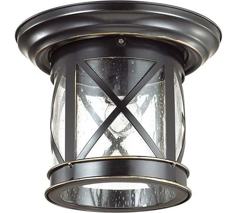 Уличный потолочный светильник ODEON LIGHT, стекло E27 60W SATION 4045/1C