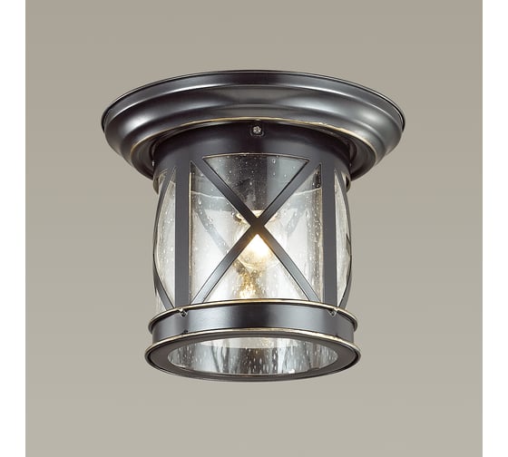 Уличный потолочный светильник ODEON LIGHT, стекло E27 60W SATION 4045/1C