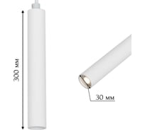 Потолочный светильник aax.tech Kernel, D30, 300 мм, 5 Вт, 4000К, подвесной, белый AAX-Kernel-p-30/300-5W-40-W