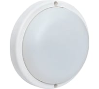 Светильник светодиодный EKF ЖКХ, круг, ДПО-1003 12Вт 6500K IP65 LUMA BKL-1003-R-12-6500