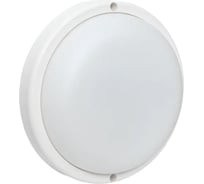 Светильник светодиодный EKF ЖКХ, круг, ДПО-1004, 15Вт, 6500K, IP65, LUMA BKL-1004-R-15-6500