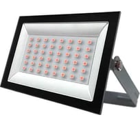 Прожектор FL-LED Light-PAD 50W RED Grey AC220-240В 147x103x30мм 612540