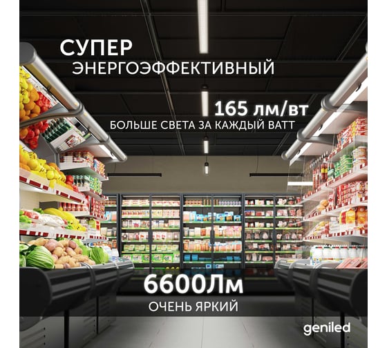 Промышленный линейный светильник подвесной Geniled 1000мм, 40Вт, 5000К, IP66, влагозащищенный, для гаража 28048
