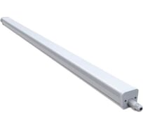 Светильник светодиодный Русский Свет ДСП WP 10 C 50W OP 865 L1500 1500x62x57мм 50Вт 6500К IP65 бел. 18071023074