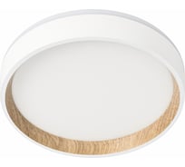 Светильник с подсветкой Citilux ETALON LED белый+бук CL750180