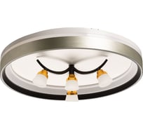 Люстра De City Норден 96W+4W LED 220 V(пульт) 660014901