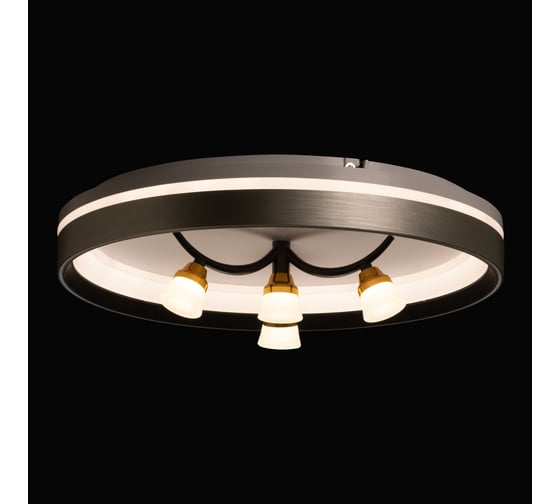Люстра De City Норден 96W+4W LED 220 V(пульт) 660014901
