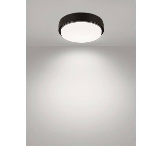 Светодиодный светильник TDM ELECTRIC LED ДПП 2902 18Вт 1580лм 4000К IP65 чёрный круг 210x54 мм Народный SQ0366-0154