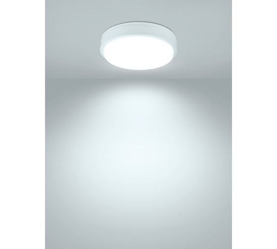 Светодиодный светильник TDM ELECTRIC LED ДПП 2901 18Вт 1580лм 6500К IP65 белый круг 210x54 мм Народный SQ0366-0152