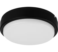 Светодиодный светильник TDM ELECTRIC LED ДПП 2902 18Вт 1580лм 6500К IP65 чёрный круг 210x54 мм Народный SQ0366-0155