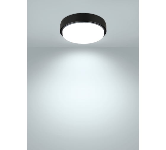 Светодиодный светильник TDM ELECTRIC LED ДПП 2902 18Вт 1580лм 6500К IP65 чёрный круг 210x54 мм Народный SQ0366-0155