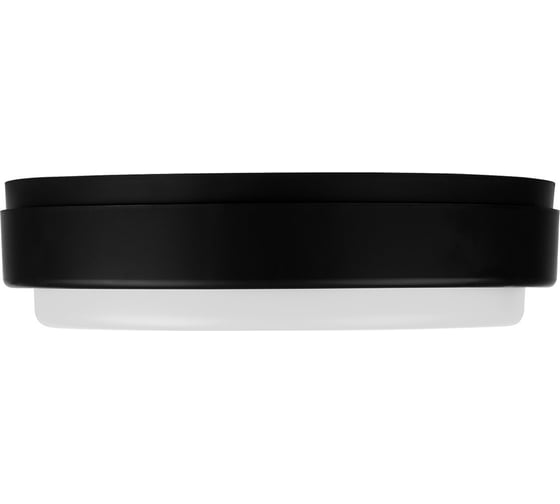 Светодиодный светильник TDM ELECTRIC LED ДПП 2902 18Вт 1580лм 6500К IP65 чёрный круг 210x54 мм Народный SQ0366-0155