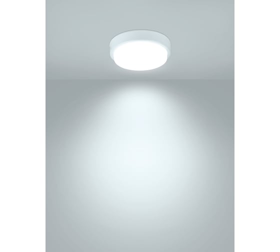 Светодиодный светильник TDM ELECTRIC LED ДПП 2901 12Вт 990лм 6500К IP65 белый круг 160x48 мм с датчиком Народный SQ0366-0145
