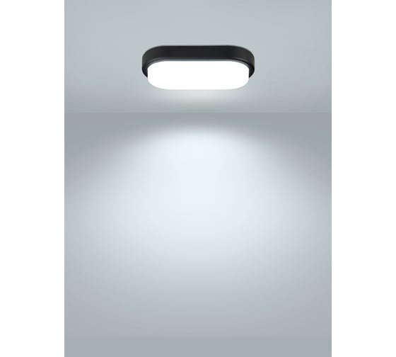 Светодиодный светильник TDM ELECTRIC LED ДПП 2802 12Вт 990лм 6500К IP65 чёрный овал 200x100x46 мм Народный SQ0366-0149