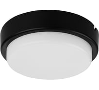 Светодиодный светильник TDM ELECTRIC LED ДПП 2902 12Вт 990лм 6500К IP65 чёрный круг 160x48 мм с датчиком Народный SQ0366-0146