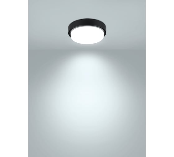 Светодиодный светильник TDM ELECTRIC LED ДПП 2902 12Вт 990лм 6500К IP65 чёрный круг 160x48 мм с датчиком Народный SQ0366-0146