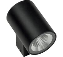 Уличный настенный светодиодный светильник Lightstar 351674