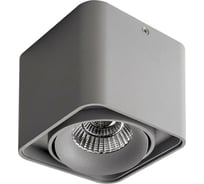 Потолочный светильник Lightstar 212519
