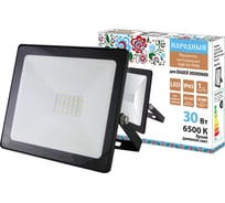 Светодиодный прожектор TDM ELECTRIC СДО-04-030Н 30 Вт, 6500 К, IP65, черный, Народный SQ0336-0262