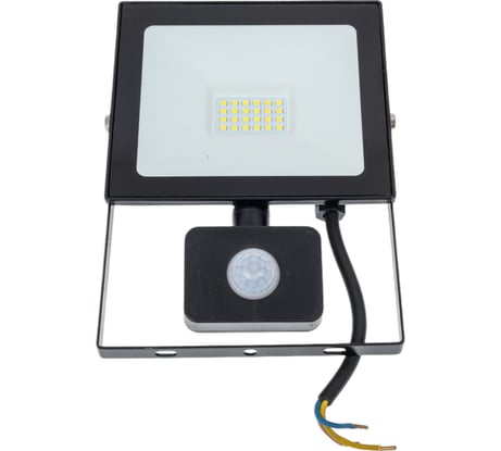 Светодиодный прожектор TDM ELECTRIC СДО-04-030Н-Д с датчиком 30 Вт, 6500 К, IP65, черный, SQ0336-0203