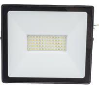 Светодиодный прожектор TDM ELECTRIC СДО-04-070Н-У 70 Вт, 6500 К, IP65, черный, Народный SQ0336-0268