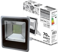 Светодиодный прожектор TDM ELECTRIC СДО70-2-Н 70 Вт, 6500 К, серый SQ0336-0209