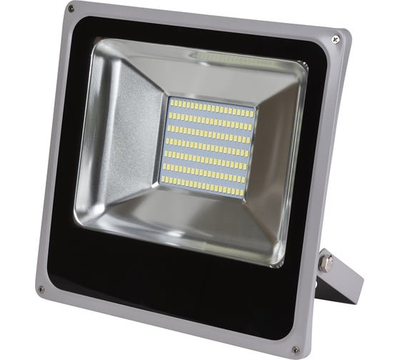 Светодиодный прожектор TDM ELECTRIC СДО70-2-Н 70 Вт, 6500 К, серый SQ0336-0209