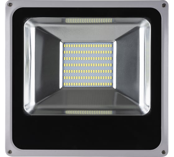 Светодиодный прожектор TDM ELECTRIC СДО70-2-Н 70 Вт, 6500 К, серый SQ0336-0209