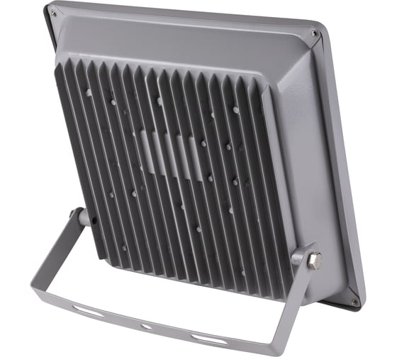 Светодиодный прожектор TDM ELECTRIC СДО70-2-Н 70 Вт, 6500 К, серый SQ0336-0209
